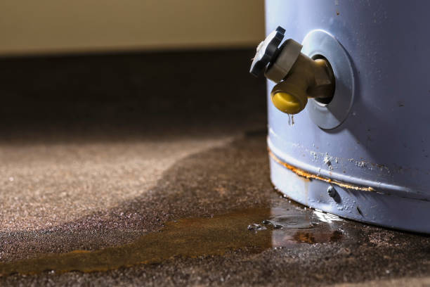 Best Flood damage cleanup  in Fremont, MI