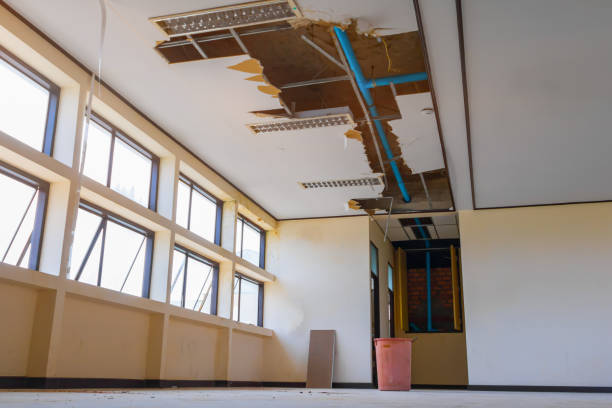 Best Water damage restoration near me  in Fremont, MI