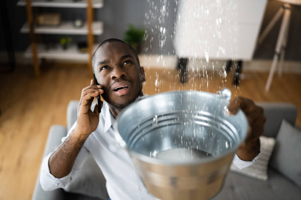 Best Sewage cleanup and water damage restoration  in Fremont, MI