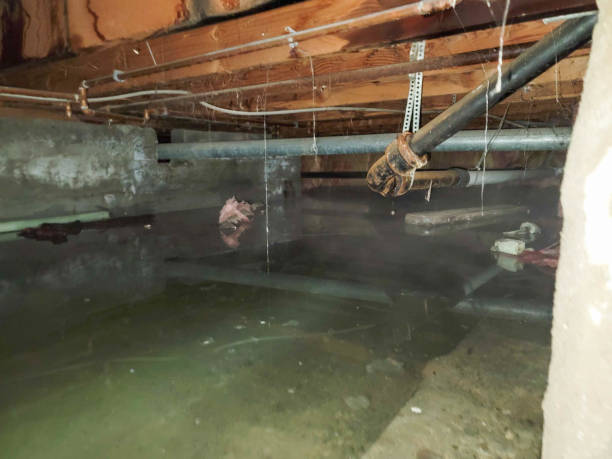 Water damage restoration experts in Fremont, MI