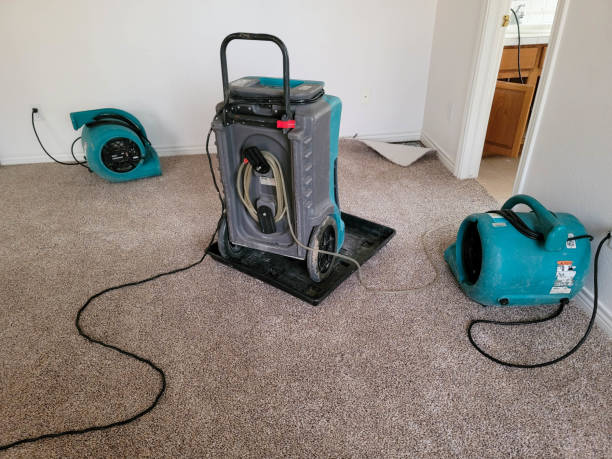 Fire Damage Restoration in Fremont, MI