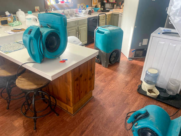 Best 24/7 water damage repair  in Fremont, MI