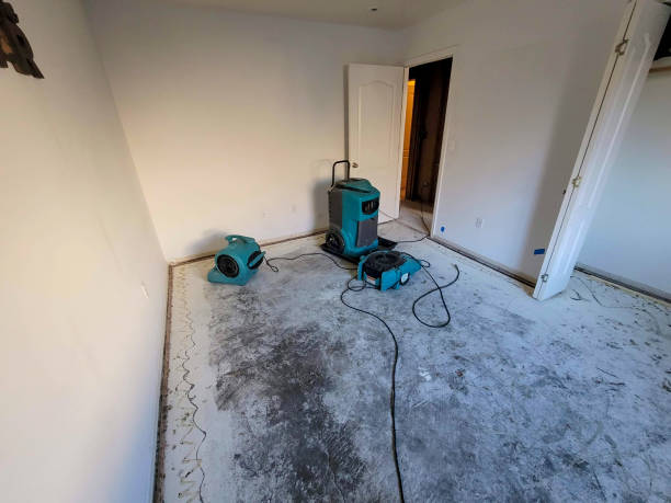 Best Local water damage restoration  in Fremont, MI