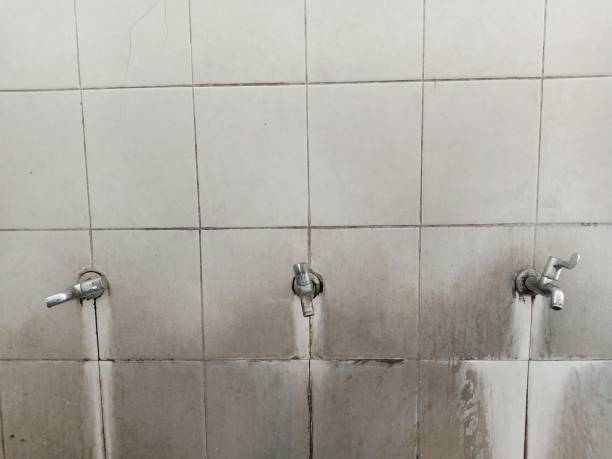 Best 24/7 water damage repair  in Fremont, MI