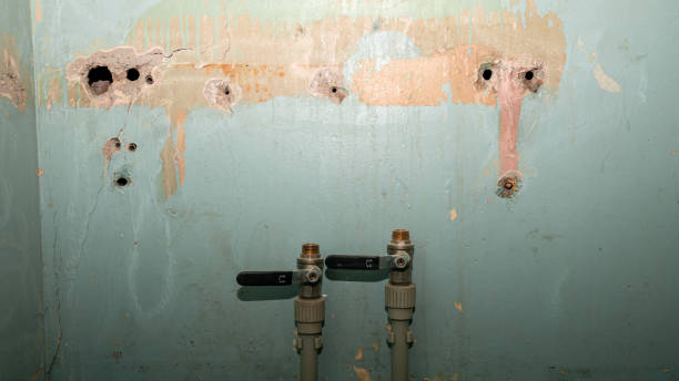  Fremont, MI Water damage restoration Pros