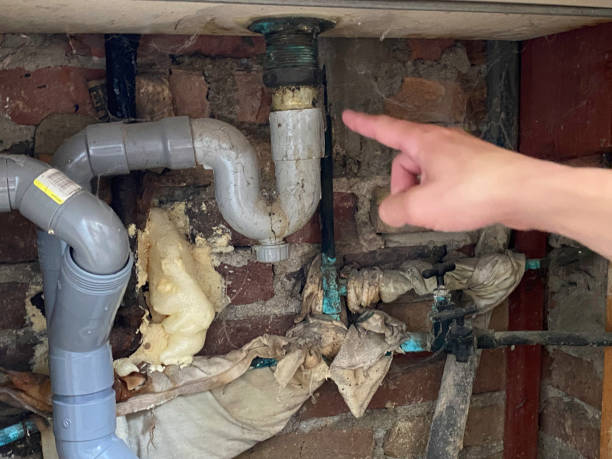 Best Fire Damage Restoration  in Fremont, MI