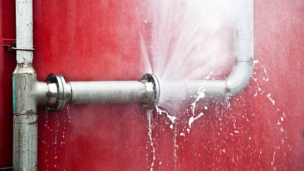 Best Flood restoration services  in Fremont, MI